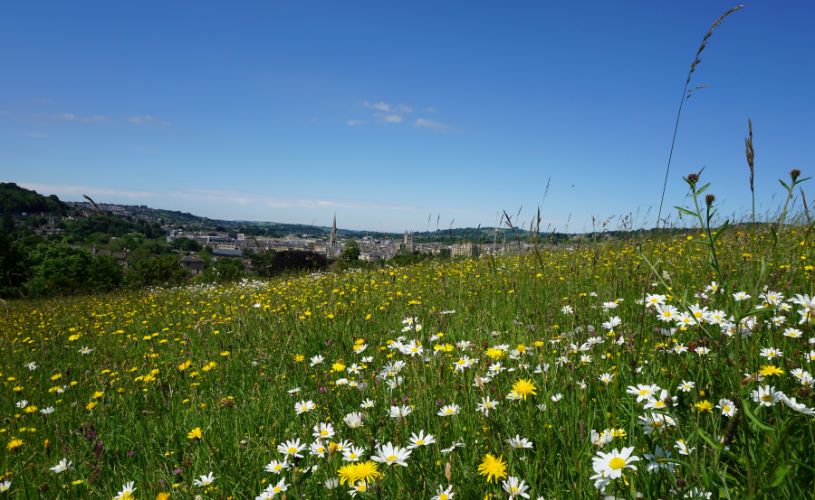 Bath Skyline Walk in spring - credit Bathscape